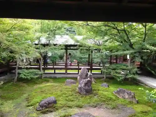 建仁寺（建仁禅寺）の庭園