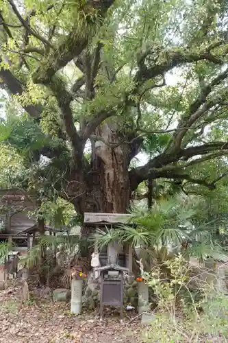 志度寺(香川県)