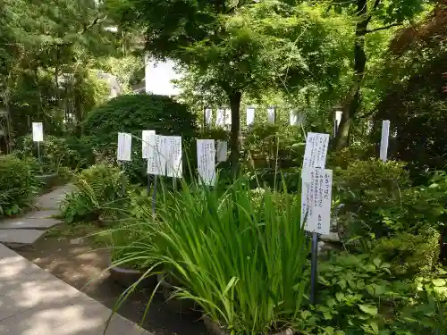 武蔵国分寺の庭園