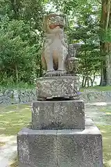 姫路神社の狛犬