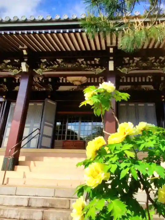 圓照寺(東京都)