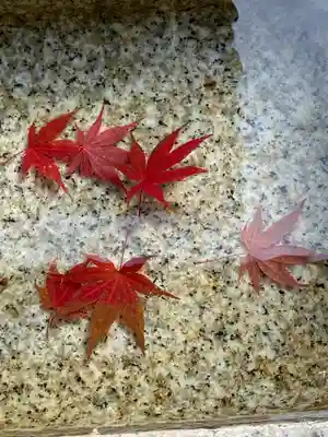 横浜御嶽神社の手水舎