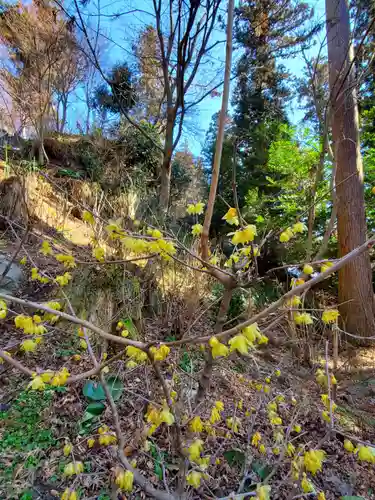 石都々古和気神社(福島県)