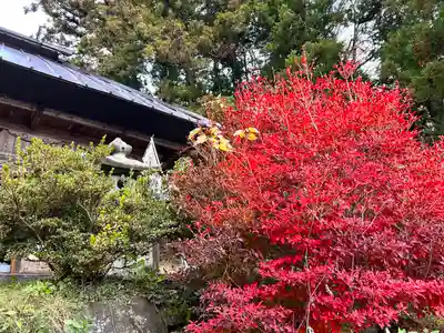 菱野健功神社(長野県)