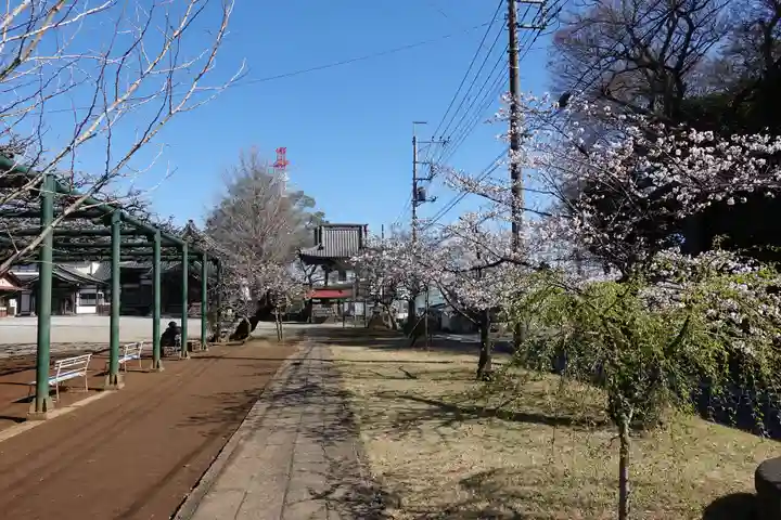 慈恩寺(埼玉県)
