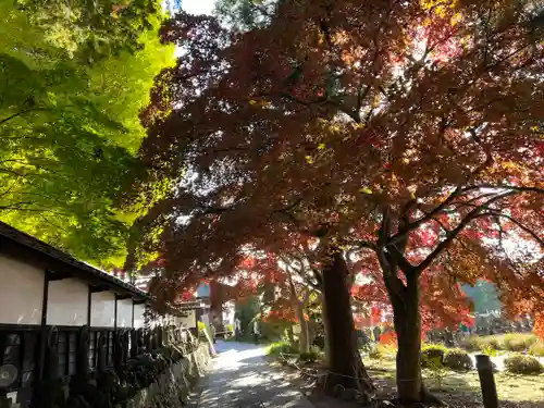 長圓寺(長野県)