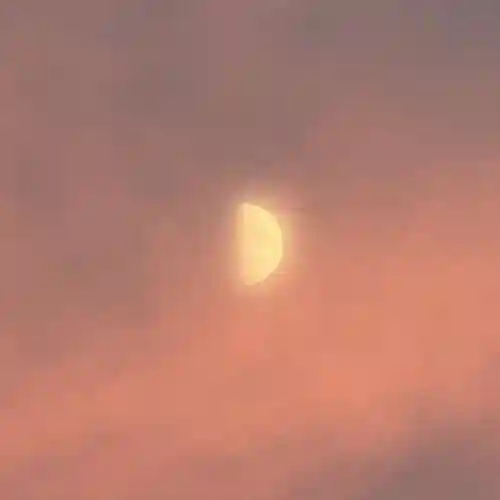 伊勢の国 四天王寺(三重県)