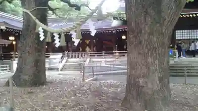 明治神宮(東京都)