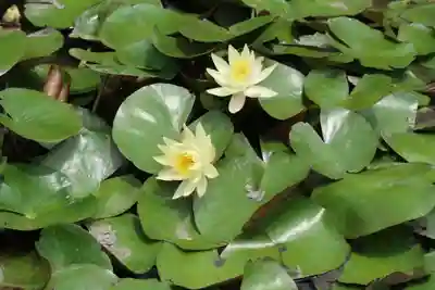 開元院(岐阜県)