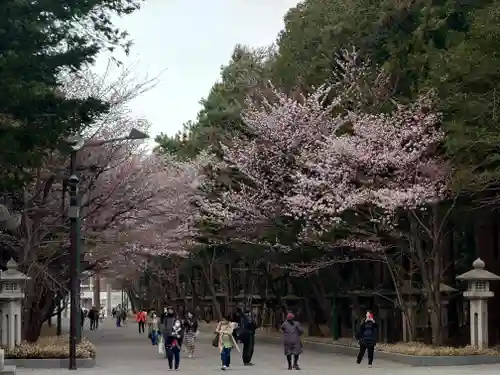 北海道神宮の景色