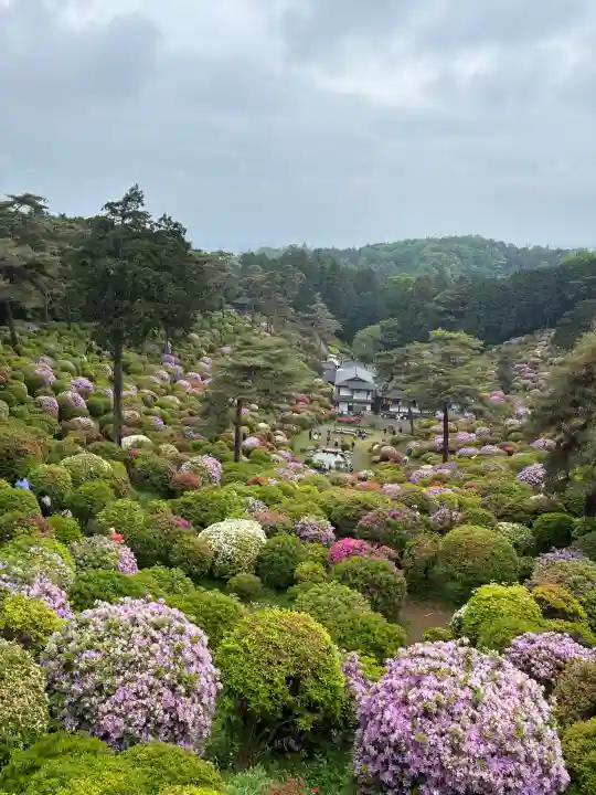 塩船観音寺の{uncategorized: "未分類", other: "その他", undefined: "問題あり", building: "その他建物", grave: "お墓", sacred_gate: "鳥居", guardian: "狛犬", statue: "像", buddha: "仏像", history: "歴史", nature: "自然", garden: "庭園", animal: "動物", pagoda: "塔", temizu: "手水舎", mountain_gate: "山門・神門", sanctuary: "本殿・本堂", subordinate: "末社・摂社", art: "芸術", scenery: "景色", jizo: "地蔵", ema: "絵馬", goshuin: "御朱印", omikuji: "おみくじ", items: "授与品その他", amulet: "お守り", goshuincho: "御朱印帳", eats: "食事", festival: "お祭り", votive_dance: "神楽", shichigosan: "七五三参", wedding: "結婚式", experience: "体験その他", initially: "初詣", around: "周辺", anti_infection: "感染症対策"}