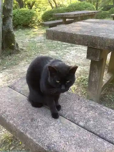 玉野御嶽神社の動物