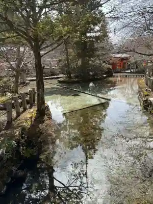 龍泉寺の{uncategorized: "未分類", other: "その他", undefined: "問題あり", building: "その他建物", grave: "お墓", sacred_gate: "鳥居", guardian: "狛犬", statue: "像", buddha: "仏像", history: "歴史", nature: "自然", garden: "庭園", animal: "動物", pagoda: "塔", temizu: "手水舎", mountain_gate: "山門・神門", sanctuary: "本殿・本堂", subordinate: "末社・摂社", art: "芸術", scenery: "景色", jizo: "地蔵", ema: "絵馬", goshuin: "御朱印", omikuji: "おみくじ", items: "授与品その他", amulet: "お守り", goshuincho: "御朱印帳", eats: "食事", festival: "お祭り", votive_dance: "神楽", shichigosan: "七五三参", wedding: "結婚式", experience: "体験その他", initially: "初詣", around: "周辺", anti_infection: "感染症対策"}