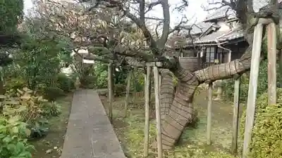 中道院の建物その他