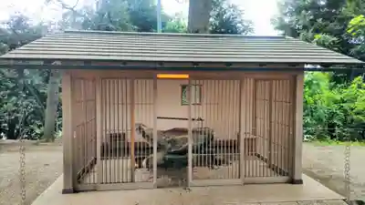 星川杉山神社(神奈川県)