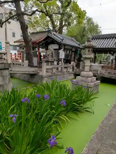 浅澤社（住吉大社境外末社）の{uncategorized: "未分類", other: "その他", undefined: "問題あり", building: "その他建物", grave: "お墓", sacred_gate: "鳥居", guardian: "狛犬", statue: "像", buddha: "仏像", history: "歴史", nature: "自然", garden: "庭園", animal: "動物", pagoda: "塔", temizu: "手水舎", mountain_gate: "山門・神門", sanctuary: "本殿・本堂", subordinate: "末社・摂社", art: "芸術", scenery: "景色", jizo: "地蔵", ema: "絵馬", goshuin: "御朱印", omikuji: "おみくじ", items: "授与品その他", amulet: "お守り", goshuincho: "御朱印帳", eats: "食事", festival: "お祭り", votive_dance: "神楽", shichigosan: "七五三参", wedding: "結婚式", experience: "体験その他", initially: "初詣", around: "周辺", anti_infection: "感染症対策"}