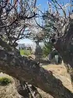搭ノ木稲荷神社(栃木県)