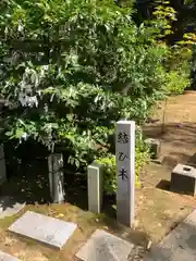 須天熊野神社(石川県)