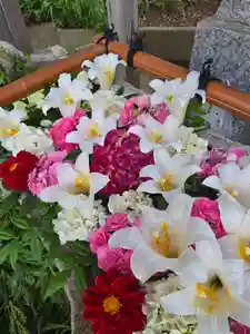 田間神社(千葉県)(2026年06月04日(木) 11時10分38秒投稿)