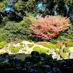 龍潭寺の庭園