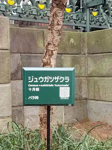 妙法寺(東京都)