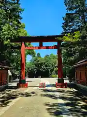 武蔵一宮氷川神社(埼玉県)