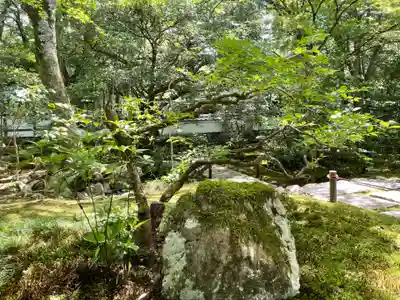 西芳寺(京都府)
