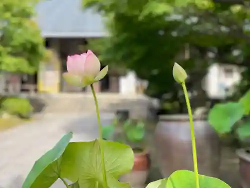 伊勢の国 四天王寺の自然