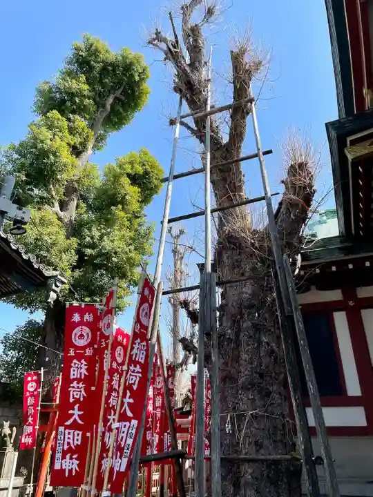 諏訪神社(東京都)