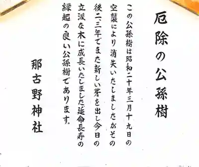 厄除の公孫樹について