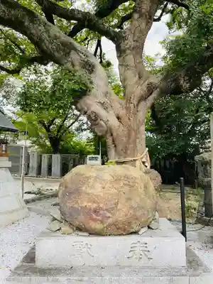 曩祖八幡宮(福岡県)
