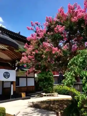 放生寺(東京都)