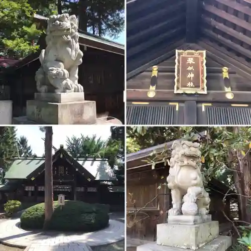 琴似神社の狛犬