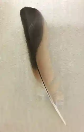 清田稲荷神社(北海道)