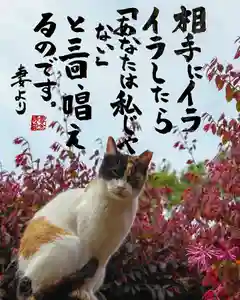 専念寺(大阪府)(2022年07月30日(土) 22時00分07秒投稿)