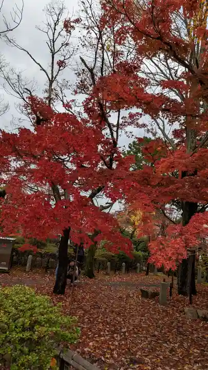 真正極楽寺(真如堂)(京都府)