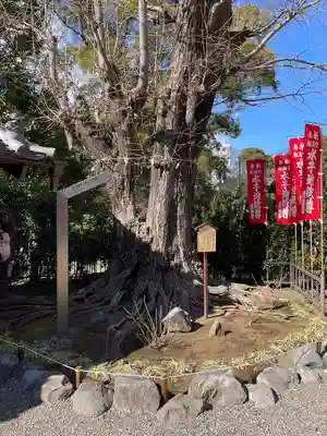鎮護堂(東京都)