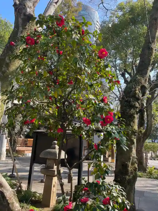 愛宕神社の{uncategorized: "未分類", other: "その他", undefined: "問題あり", building: "その他建物", grave: "お墓", sacred_gate: "鳥居", guardian: "狛犬", statue: "像", buddha: "仏像", history: "歴史", nature: "自然", garden: "庭園", animal: "動物", pagoda: "塔", temizu: "手水舎", mountain_gate: "山門・神門", sanctuary: "本殿・本堂", subordinate: "末社・摂社", art: "芸術", scenery: "景色", jizo: "地蔵", ema: "絵馬", goshuin: "御朱印", omikuji: "おみくじ", items: "授与品その他", amulet: "お守り", goshuincho: "御朱印帳", eats: "食事", festival: "お祭り", votive_dance: "神楽", shichigosan: "七五三参", wedding: "結婚式", experience: "体験その他", initially: "初詣", around: "周辺", anti_infection: "感染症対策"}