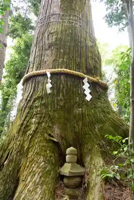 塩船観音寺のその他建物