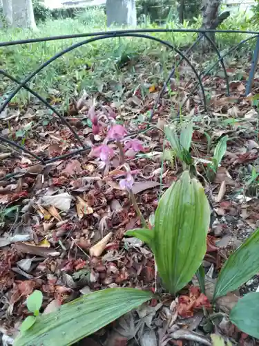 慶性院の庭園