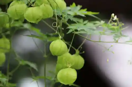 高司神社〜むすびの神の鎮まる社〜の庭園