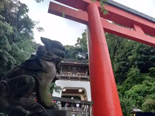 江島神社の狛犬