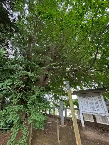 鹿嶋神社(茨城県)