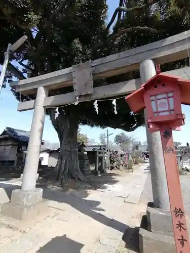 境香取神社の鳥居