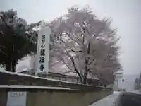龍福寺の景色