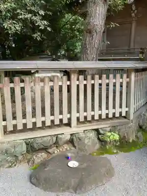 九頭竜大社(京都府)