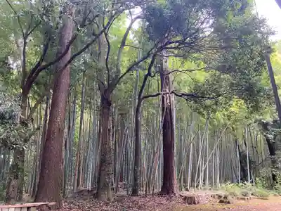 逢善寺(茨城県)