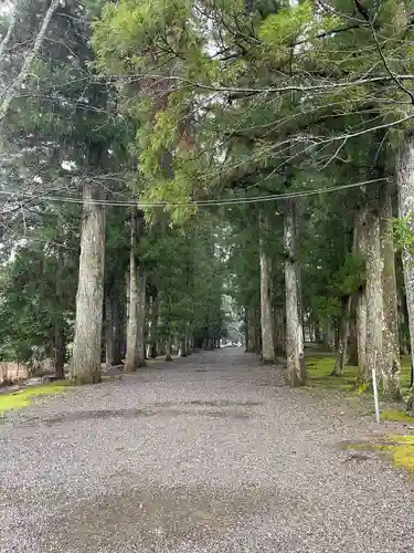 大斎原（熊野本宮大社旧社地）(和歌山県)