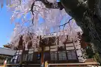 円通寺の本殿・本堂