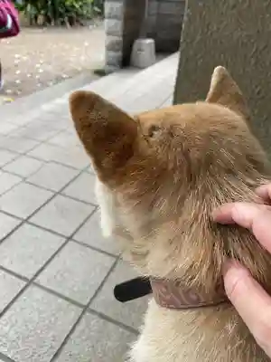笠䅣稲荷神社(神奈川県)